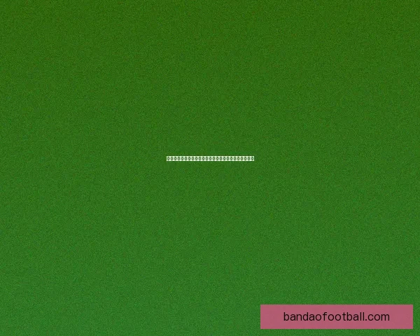 世界杯胜负分析与竞猜策略深入剖析助力预测准确性提升