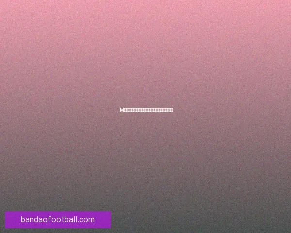 半岛体育官网引领全球体育娱乐新体验平台发展趋势解析与未来创新