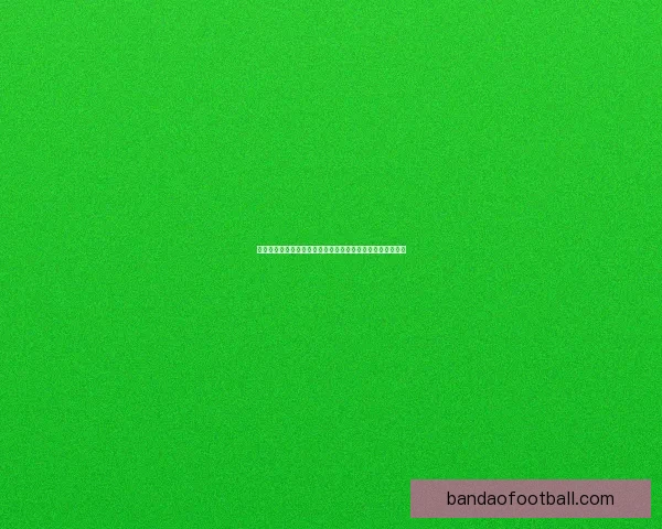 半岛体育世界杯精彩赛事回顾 与全球冠军争夺战的历史性对决