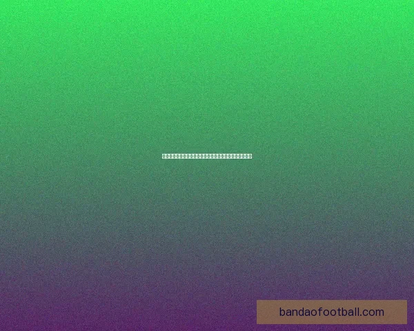 世界杯足球竞猜分析方法与技巧探索助你精准预测比赛结果