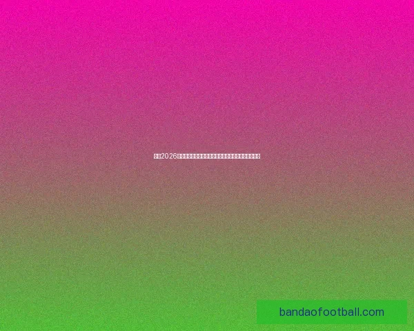 聚焦2026世界杯美加墨联合举办背后城市文化足球盛宴全景解读