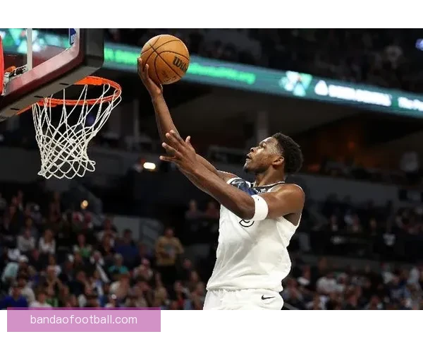 辽篮官宣签约森林狼前锋莱迪 本赛季外援补强完成布罗金顿离队