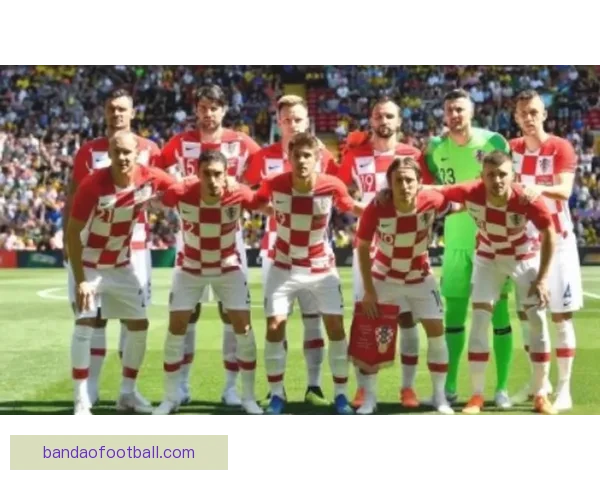 世界杯竞猜赔率全解析：各热门球队胜率与潜在黑马对比分析